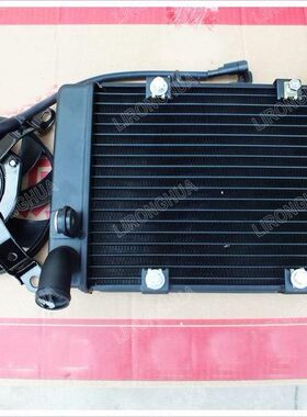 原厂小黄龙302S BJ300GS-3  水箱风扇总成