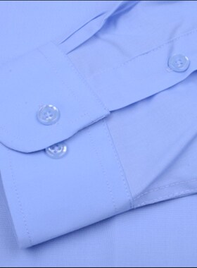 男士长袖衬衫春季天蓝色加肥加大码上班商务正装职业装工作服衬衣