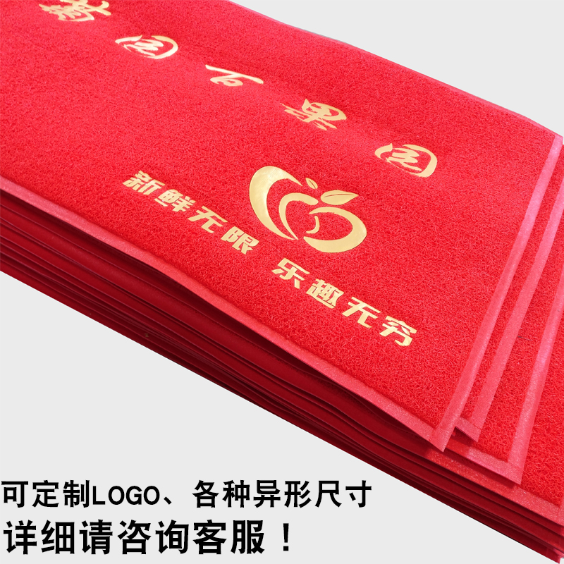 入户地毯门垫进门大门口门厅家用加厚红地毯定制logo防滑丝圈地垫