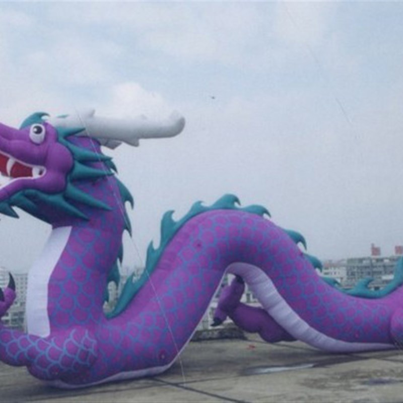 龙气模 金色龙气模 充气龙气模 紫色龙王气模 充气气模拱门