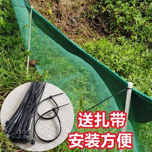 防逃杆空心杆支撑杆立柱龙虾网防逃黄瓜豆角杆玻璃纤维杆龙虾防逃