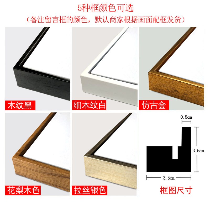 现代简约装饰画黑白照片客厅玄关墙上有框挂画 电表箱卧室壁画图片