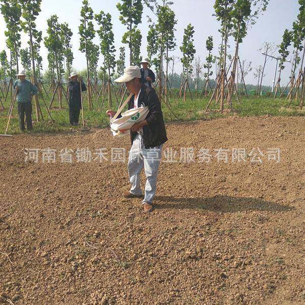 草种播种机撒播机肥施AKG器小树型常青摇手式播种机布袋式播种机,农机/农具/农膜,播种栽苗器/地膜机,淘宝优惠券,粉丝福利购,淘宝优惠卷