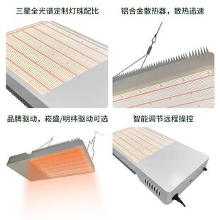单模组L兰EXSSD植物生长百合花室内花棚育苗植物灯1光20灯0W植物