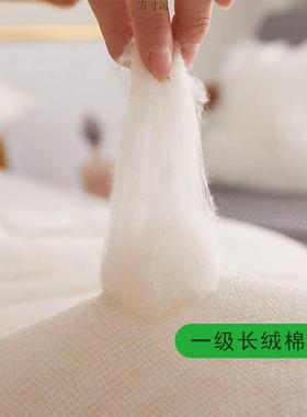 棉花被花被芯床包棉被春秋保暖布FIO棉絮褥子家用保暖加包厚一件