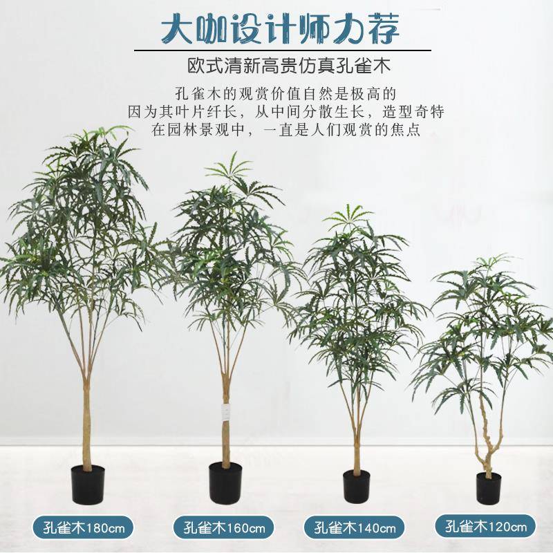 仿真孔雀大型热带植木物孔雀木外假FZKQM树生盆栽室内装饰仿真仿