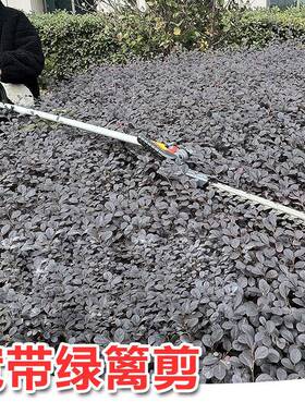 高枝绿篱机机402KAD2手持式锂电园林绿化修剪绿篱修枝剪