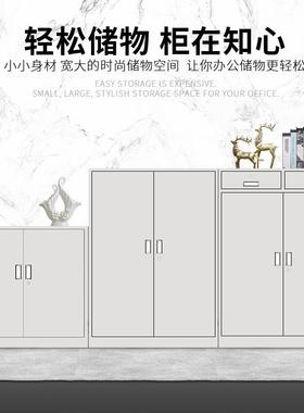 钢制办公室带锁档XMR-24放案资料柜财务凭证储物柜柜杂物钢文制件