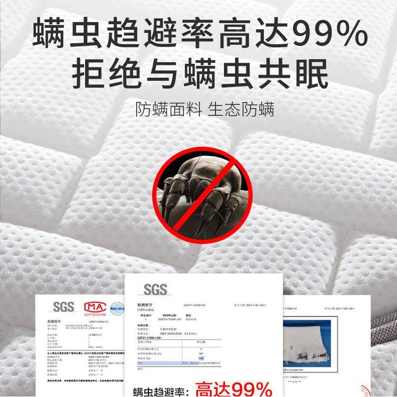 天榻然竹炭椰棕床偏硬环保家KTW用棕垫护脊童儿垫乳胶折叠榻米床