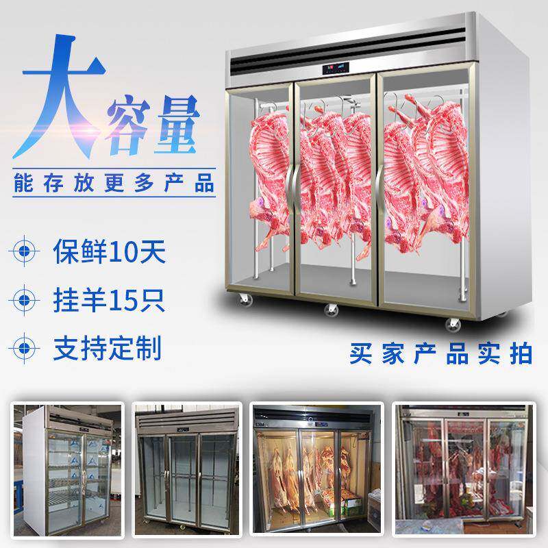 挂肉220柜冰商挂用冷冻冷藏保鲜肉冰柜吊肉柜牛羊肉柜立式卖展示