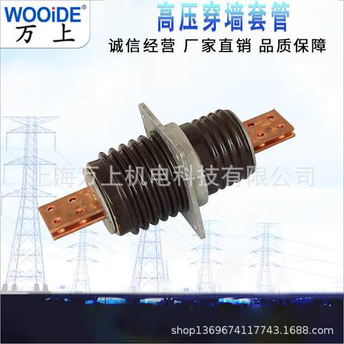 CWB-1/-20003000-EXV3150A墙套管户内外铜导体8*1穿000*2
