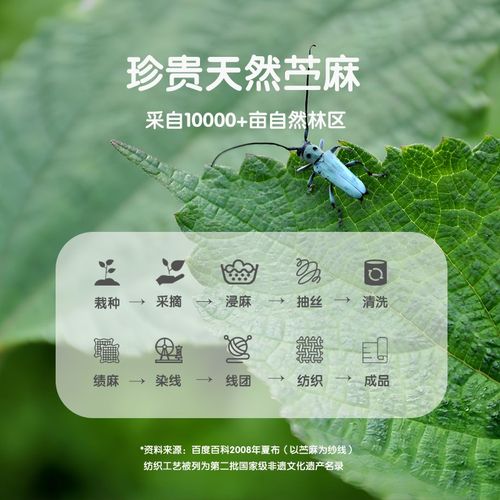 【2025夏季】天然苎麻凉席A类可水洗三件套婴儿双人床单人成人