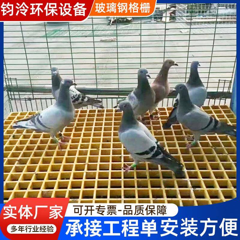 璃钢格货栅现板光伏检修走道污水池盖板ALI树篦子鸽玻舍养殖漏粪