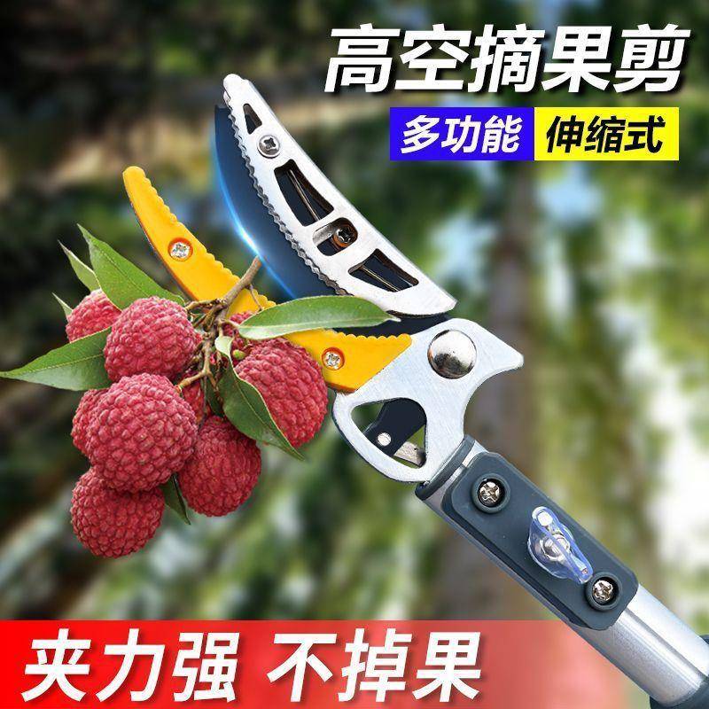 高杨空采枝摘新款果子高伸缩剪摘摘果梅龙眼摘果器IBH枇杷枝荔神
