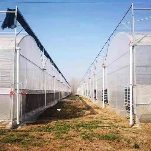 业连栋薄膜温果室大棚农园林花卉水连种植遮阳防风雨体瓜GDA果温