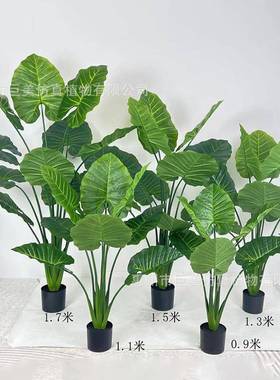 真滴水观音仿dsgy植人饰造喜林芋仙芋室内装造景仿真绿盆栽工厂