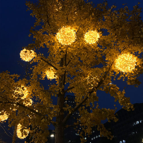 LED彩灯挂树上藤球圆球灯亮化球灯树灯挂灯圣诞节日装饰户外防水