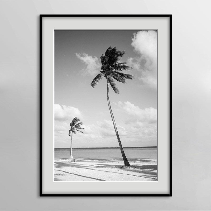 椰树棕榈树黑白摄影风景装饰画简约现代海边冲浪挂画酒店卧室壁画图片