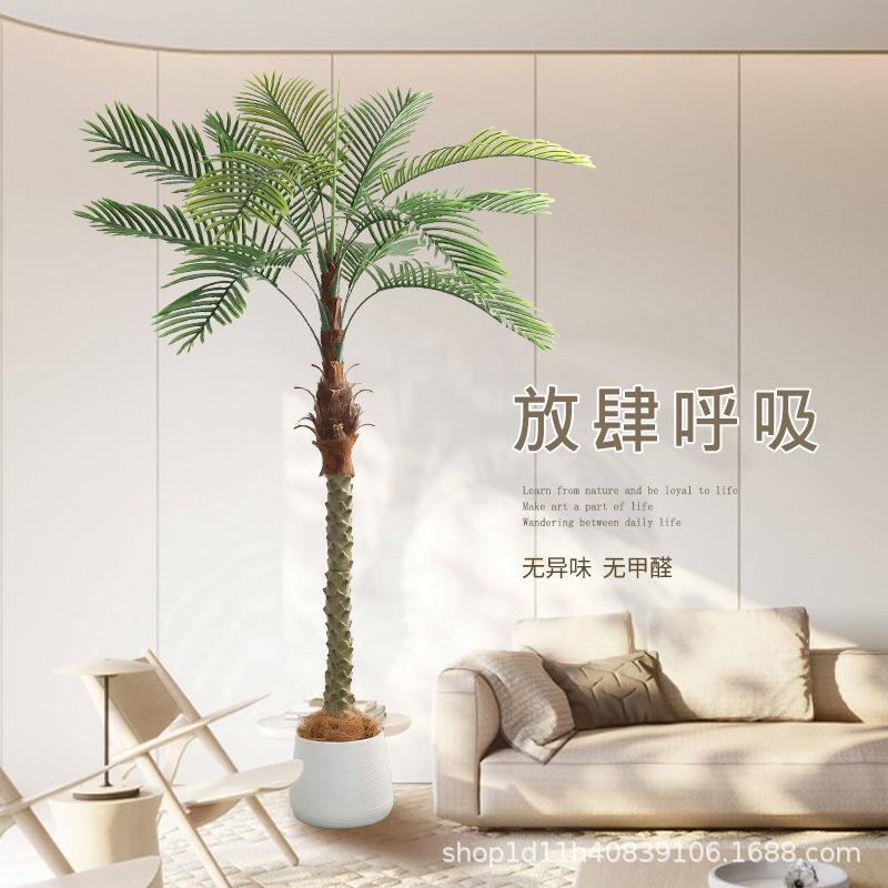 真葵盆针栽树办公橱窗商假场仿生绿植物造景室内客厅仿Y1032装饰