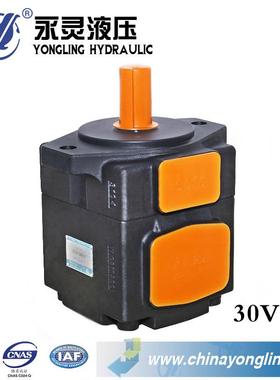 YLC/永灵液压YB-E系列高压叶片泵-30VYB-E80/E1泵0/泵E0125