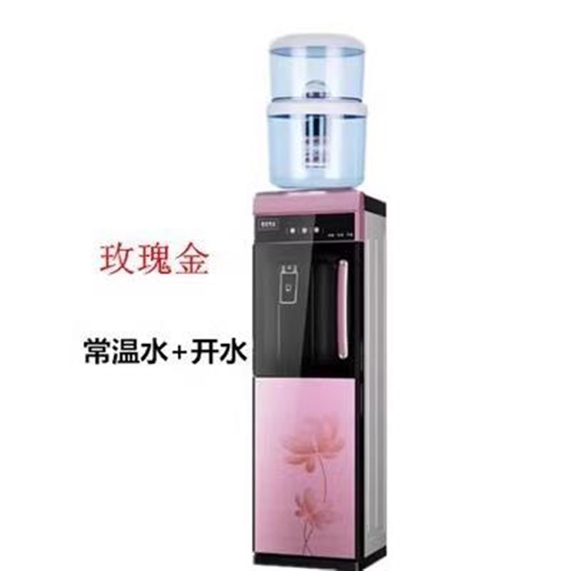 饮水机立式过滤带桶家用制冷制热冰温热双门搭配净水桶过滤桶套装