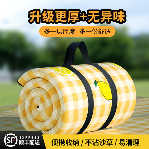 加厚野餐垫防潮垫野炊地垫户外郊游春游草坪垫子沙滩垫帐篷露营垫