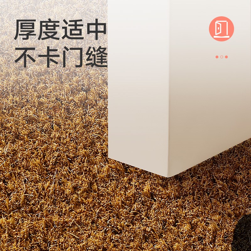 高级感防滑地垫入户门丝圈进门门口玄关脚垫简约椰棕门垫加厚耐脏