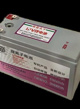 正中12v6000mAH足容量儿童车专用锂电池儿童电动车锂电池