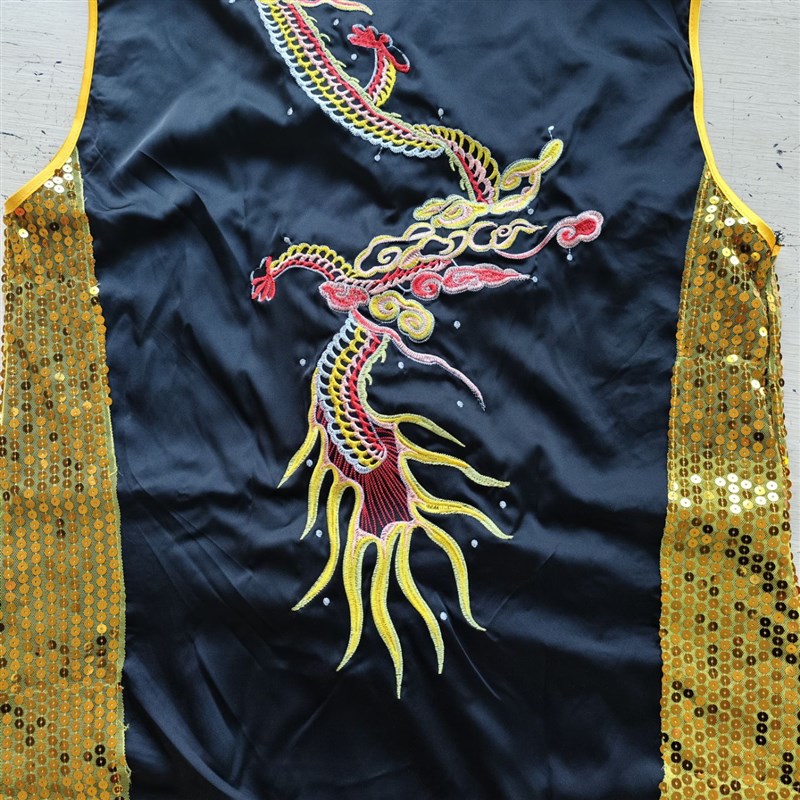 新款无袖南拳服龙刺绣长拳比赛表演服专业武术服竞赛服彩服男女款