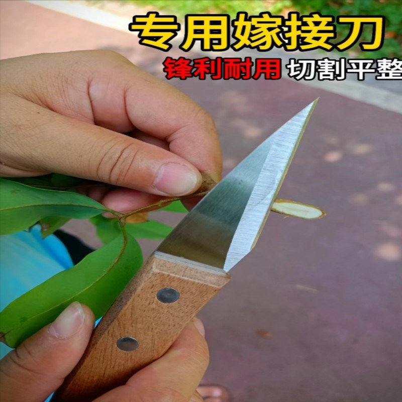 加厚超薄果树嫁接缠绕膜嫁m接保鲜膜自粘免打结塑料薄膜嫁接