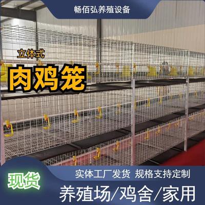 三层H型肉鸡鸡笼立体丝网笼鸡舍养鸡场镀锌简易式可联排摆放