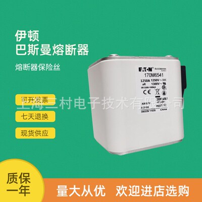 原装快速熔断器保险丝170M6549 170M6550 170M6557 170M6558
