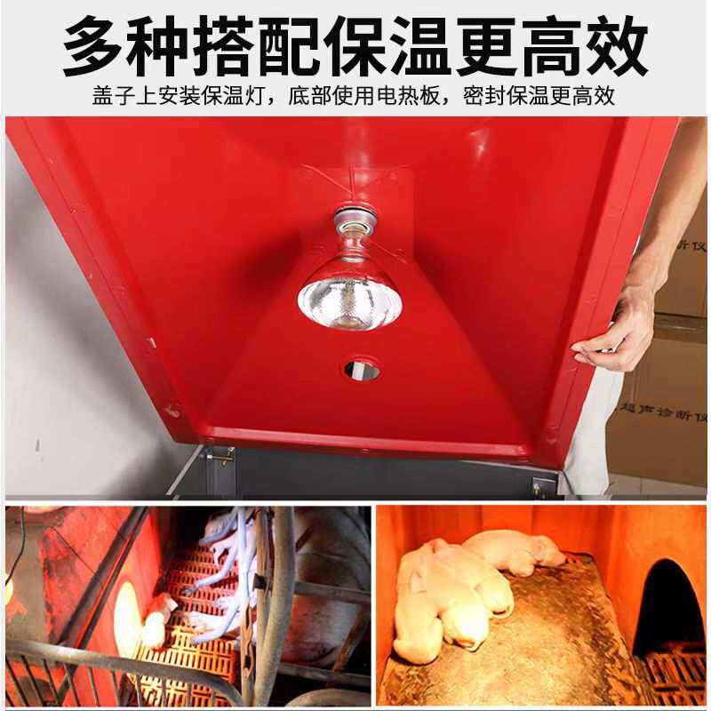仔猪小猪保温箱母猪产床产仔箱加厚塑料分体式取暖箱猪用养殖设备