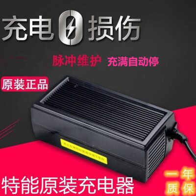 特能原装电动车充电器48V60V72V12A20A32A40A50A脉冲
