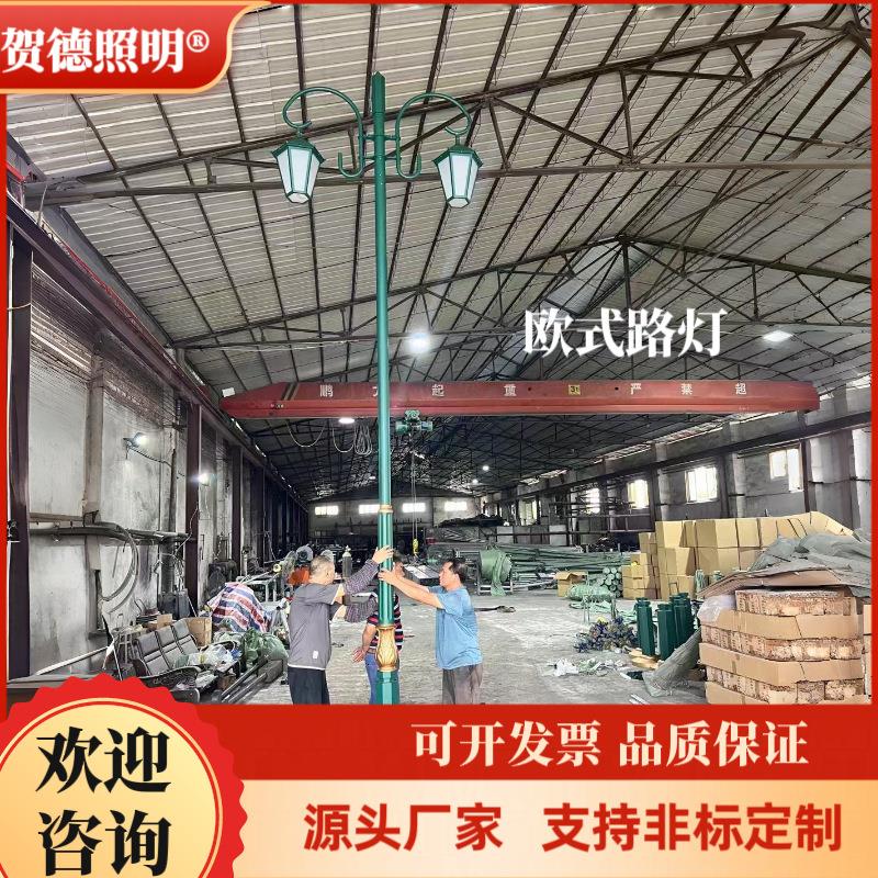 厂家做欧式庭院灯户外压铸铝3.5米花园庭园林公园别墅led庭院灯