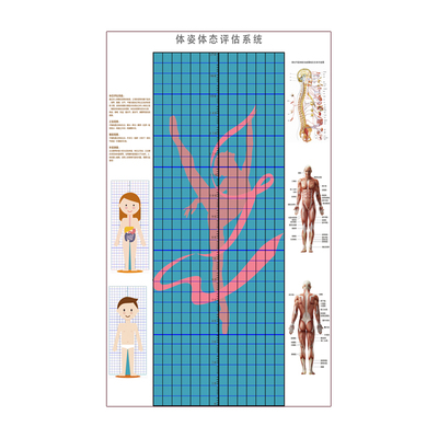 儿童身高体态评估表站姿体测网格壁画背景墙纸中小幼儿体测评估图