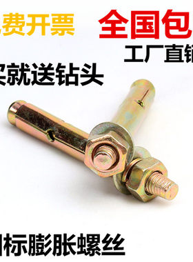 国标膨胀螺丝铁彩镀膨胀螺丝镀锌膨胀螺栓拉I爆螺丝爆炸螺丝M6-M1