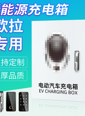 欧拉充电箱充电桩保护箱配电箱 新z能源电动 室外防水iQR1R2猫魏