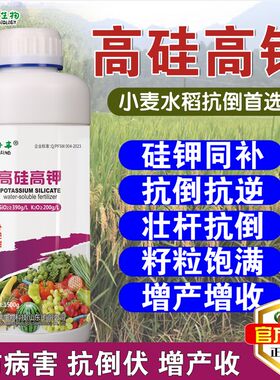 高硅高钾叶面肥水稻专用硅肥x蔬菜果树膨果增产抗病抗倒伏硅钾同