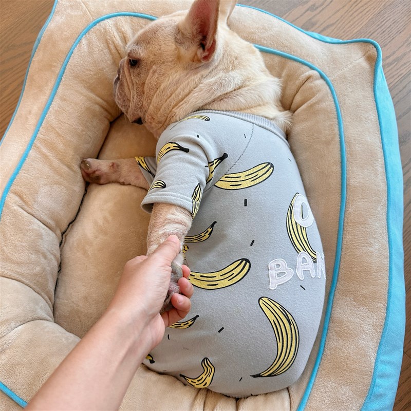 方形狗窝猫窝法斗垫子四季厚实保暖宠物睡床狗垫猫垫中小型狗床厚