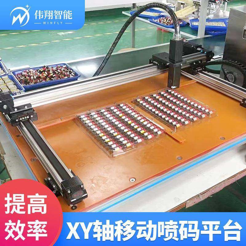 XY轴移动喷码机双平台整盘电池芯片鸡蛋整盘移动小字符喷码设备