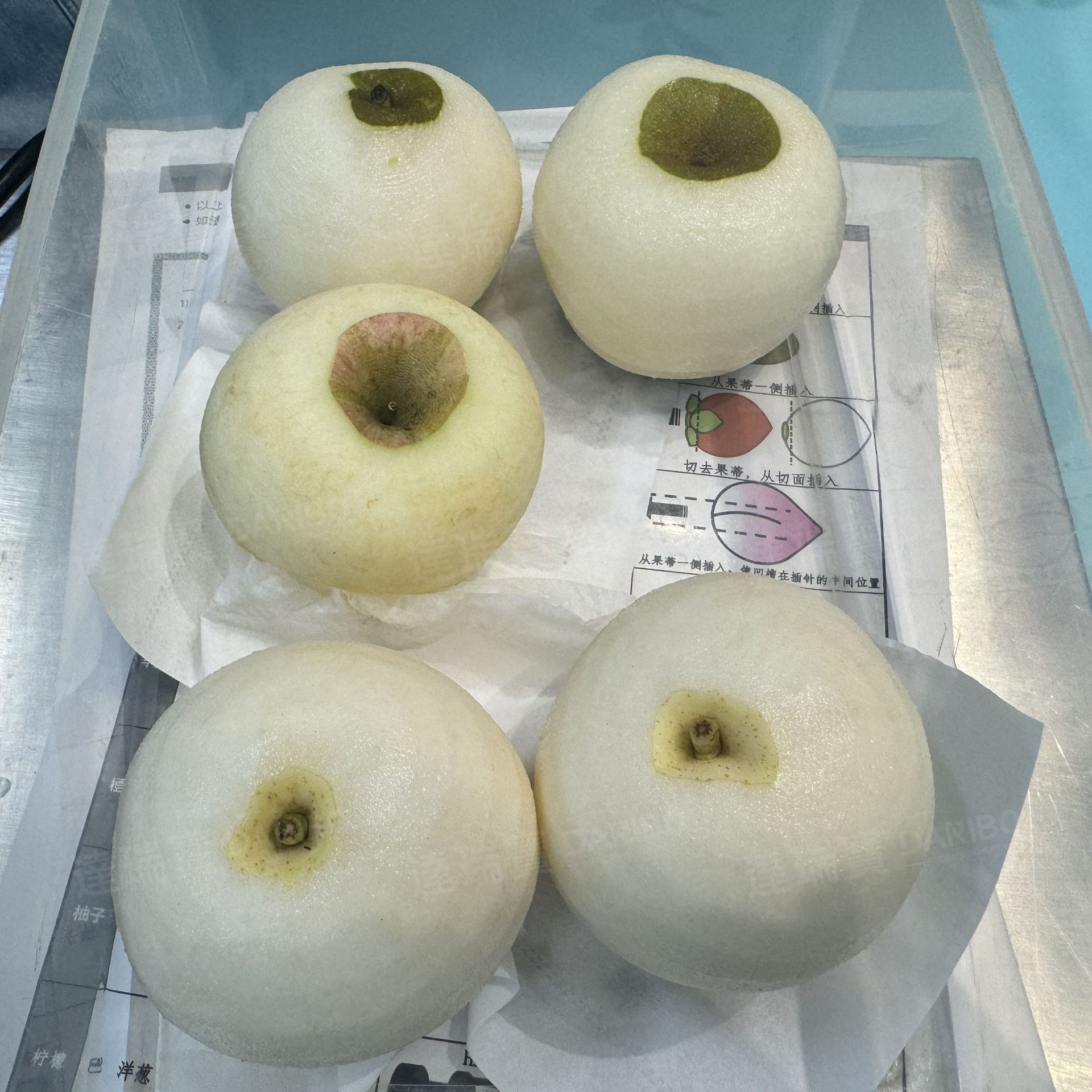 W大型水果削皮机 水果刨皮机 全自动苹果去皮机 雪梨去皮机削皮