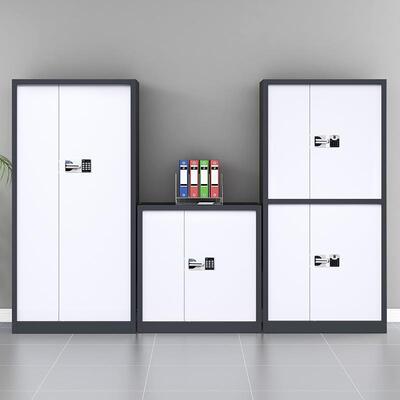 案电子保密柜带锁密件柜办公室保密柜财务资文料柜档柜指纹码IOUG