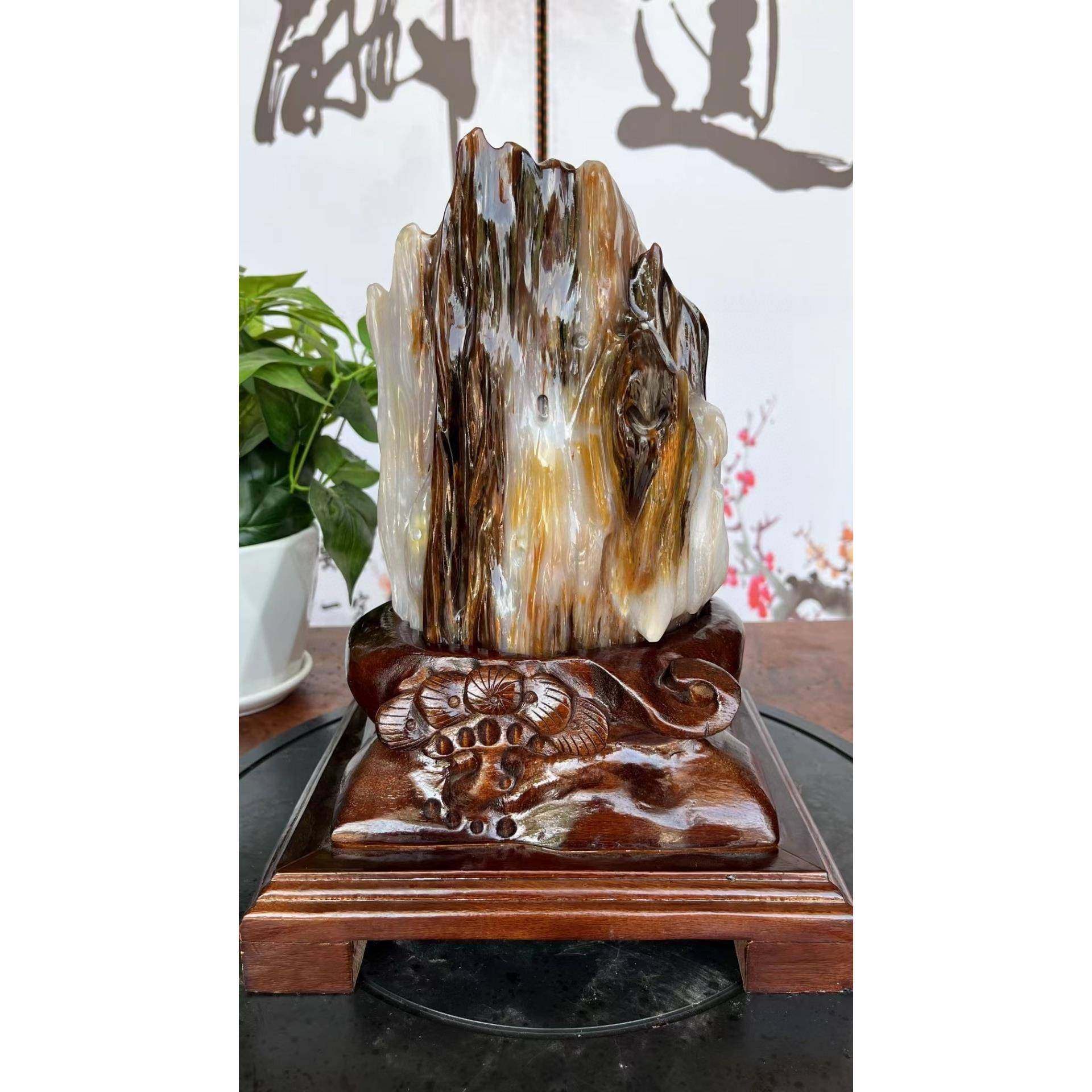 GJU缅8甸树化玉奇石家居装饰品赏石木化玉风水石头件摆日BD101000,家居饰品,装饰摆件,淘宝优惠券,粉丝福利购,淘宝优惠卷