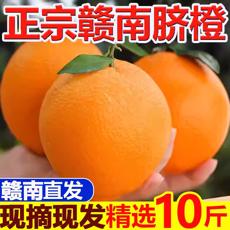 正宗赣南脐橙新鲜10斤装大果橙子江西赣州产地直发当季赣南早水果