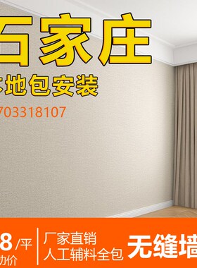 加厚高精密墙布无缝全屋现代简约客厅背景墙壁布纸包安装2.024新