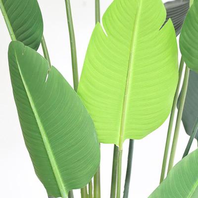 北盆欧网红仿真旅蕉FZS-9111空间人陈列仿真绿植栽大落地装饰摆件