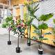 地仿真级感绿植落仿Y1026真树高装 饰婚庆室内客厅摆件物植大型家