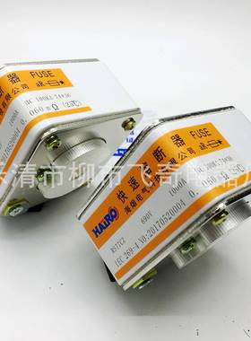 快速熔断器RS77CZ-69063V0A650CYNA700A800A900A1000A熔断器芯