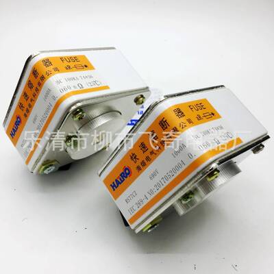 快速熔断器RS77CZ-69063V0A650CYNA700A800A900A1000A熔断器芯